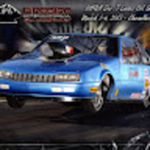 Meet your Posher, Curtis